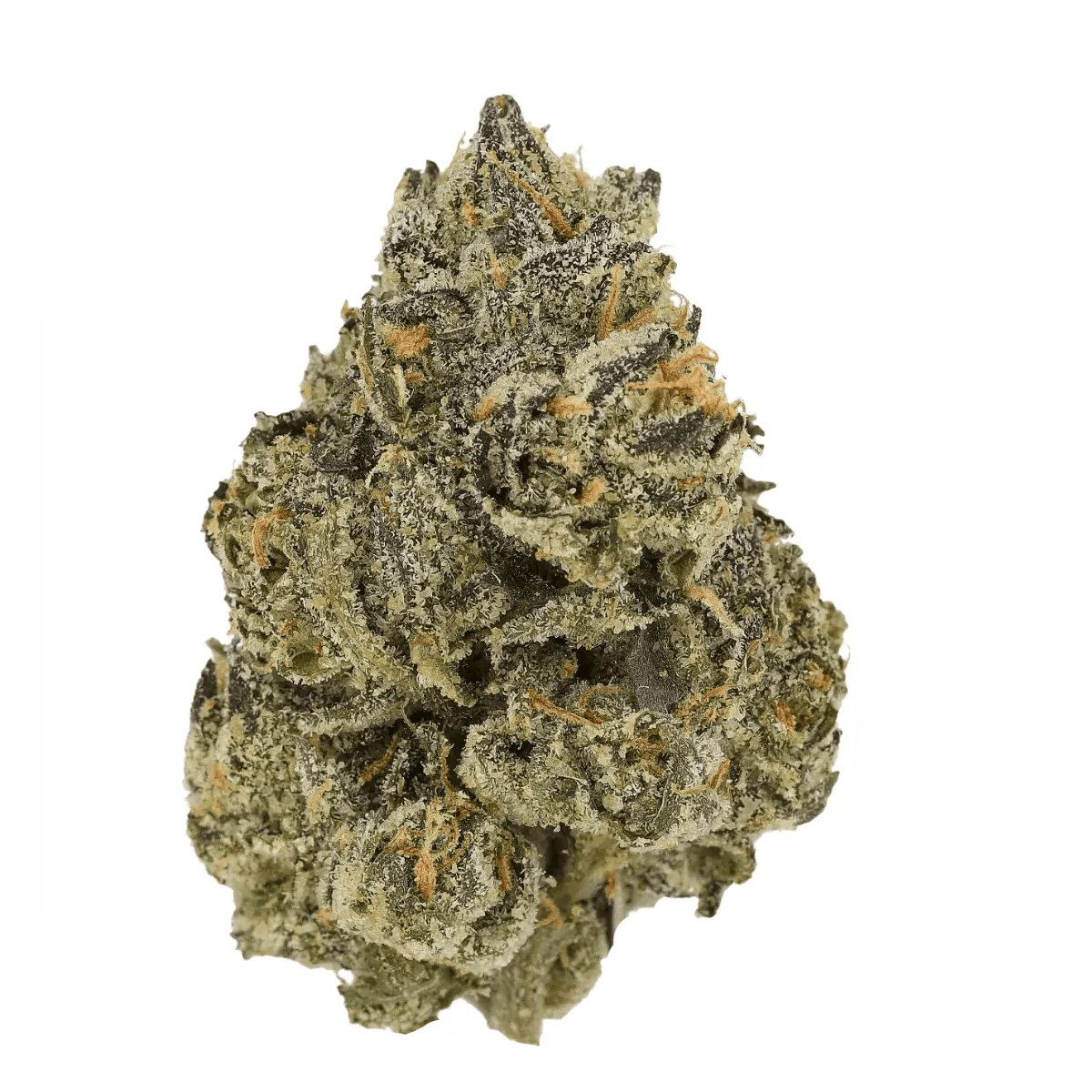 Barongo 28/1 TRD Rainbow Pie