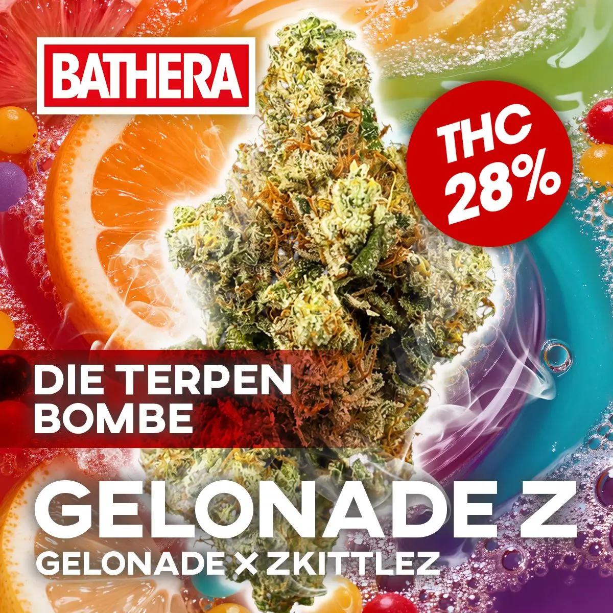 Bathera 28/1 GZ GelonadeZ