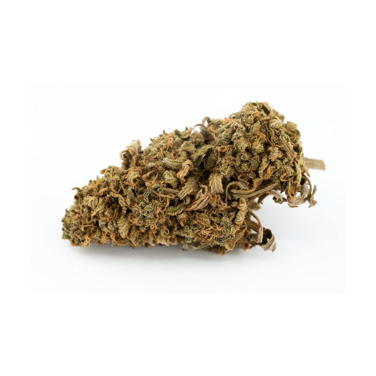 CM Sativa forte NM Gelato Dream