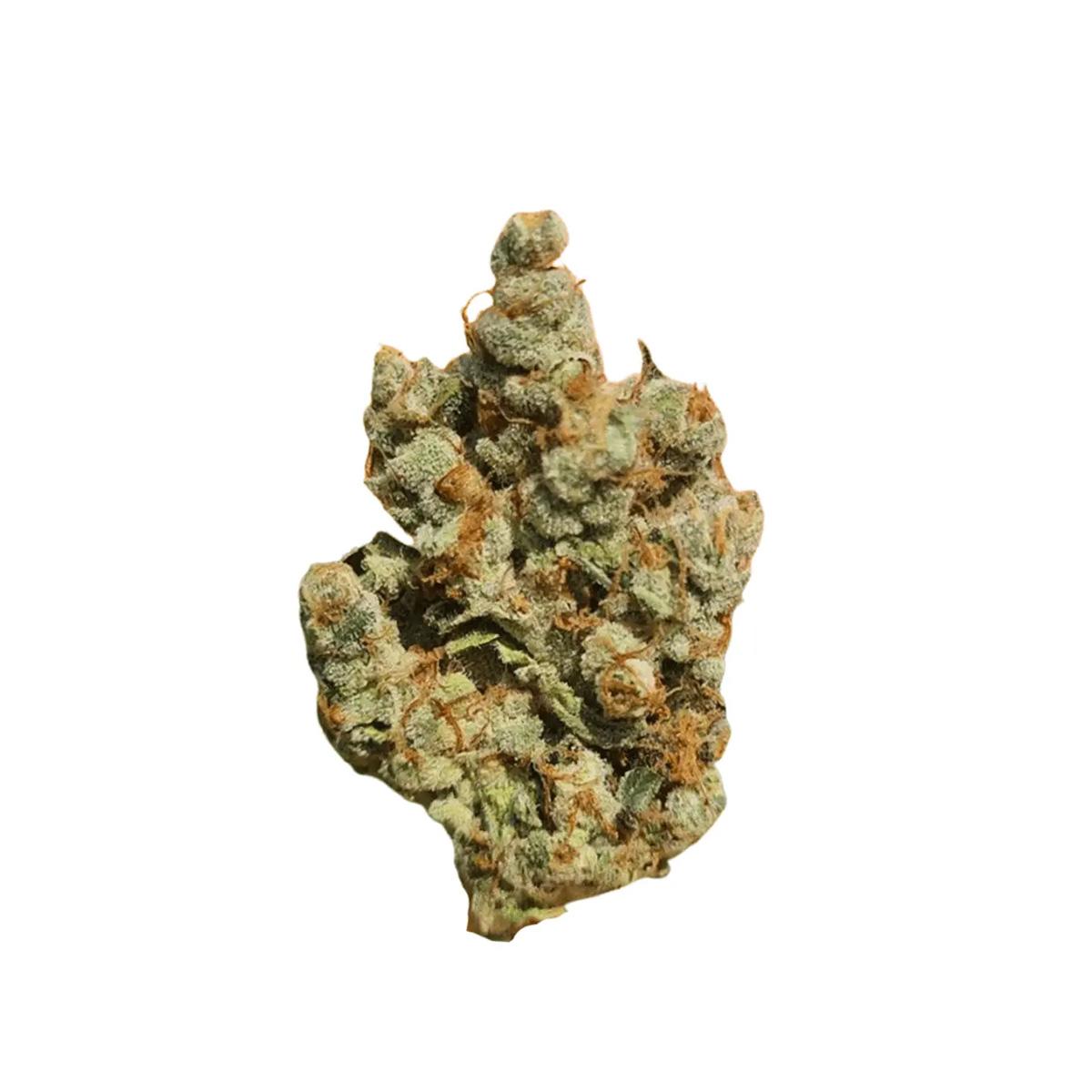 CM Sativa Forte VenomZ Eve