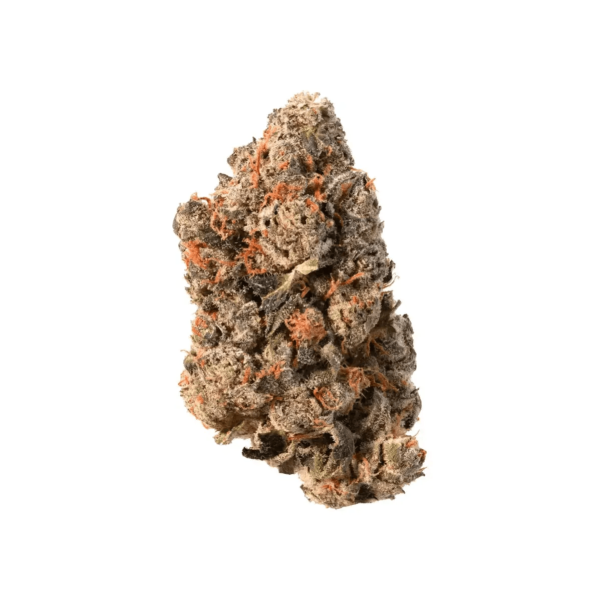 CRQSH BNTZ 30/1 Banana Runtz