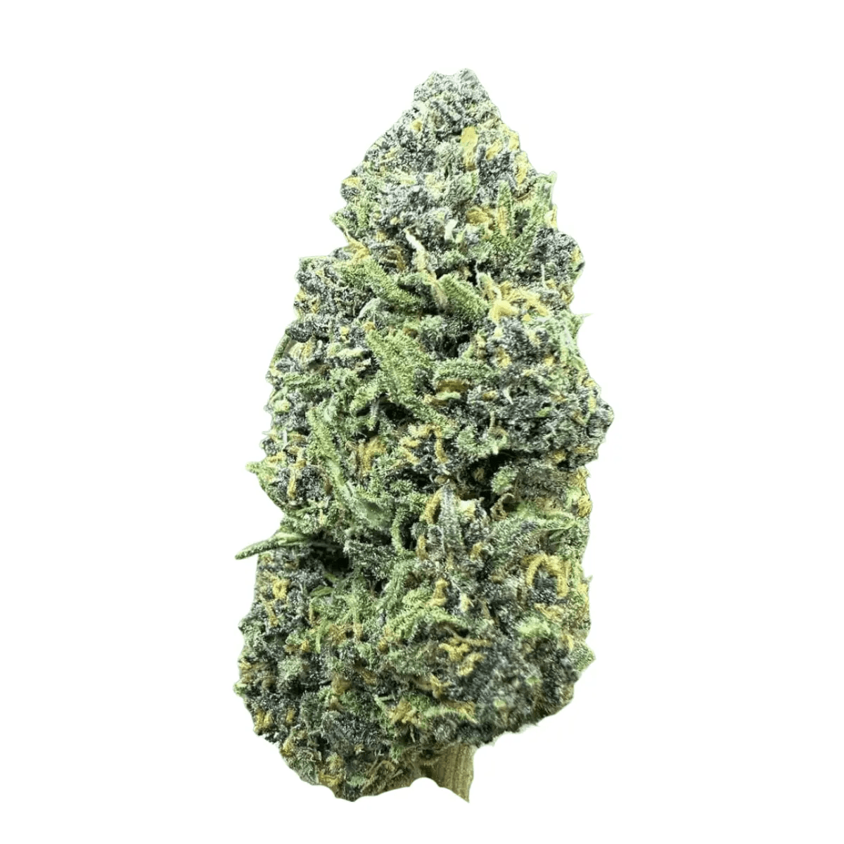 Cannamedical Balanced Ultra 12/13 Libras