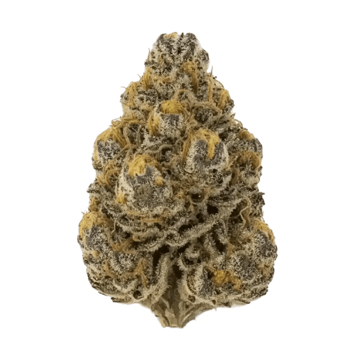 Cannamedical CM 28/1 Craft Lotus