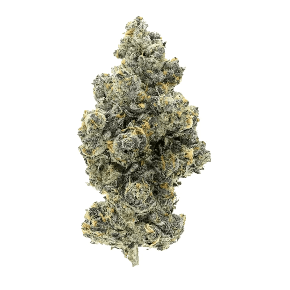 Cannamedical Hybrid Classic KA Ring of Sour