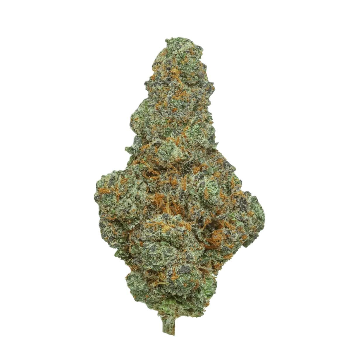 Cannamedical Hybrid Forte SA Blunicorn