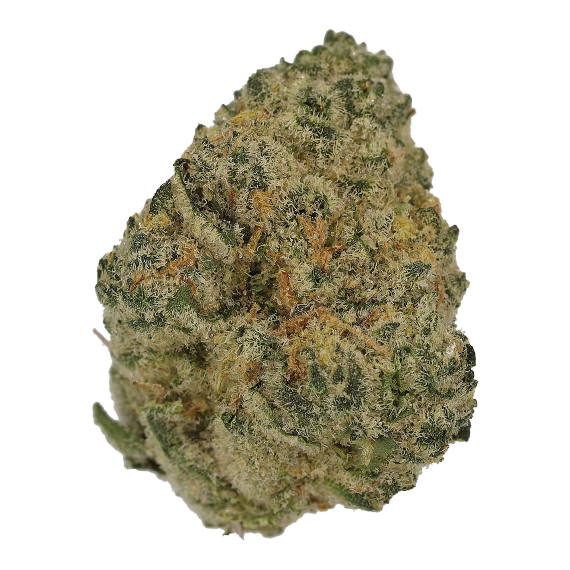 Cannamedical Sativa Ultra NM Polar Cookies