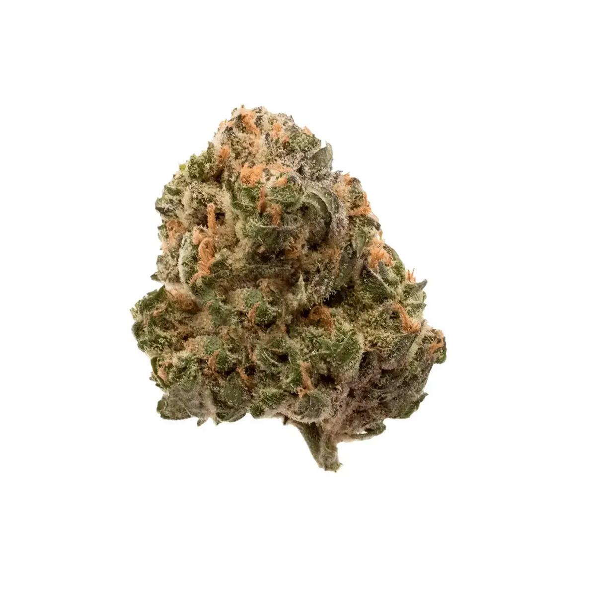 Cannamedical Hybrid Forte 24/1 Garlic Truffle