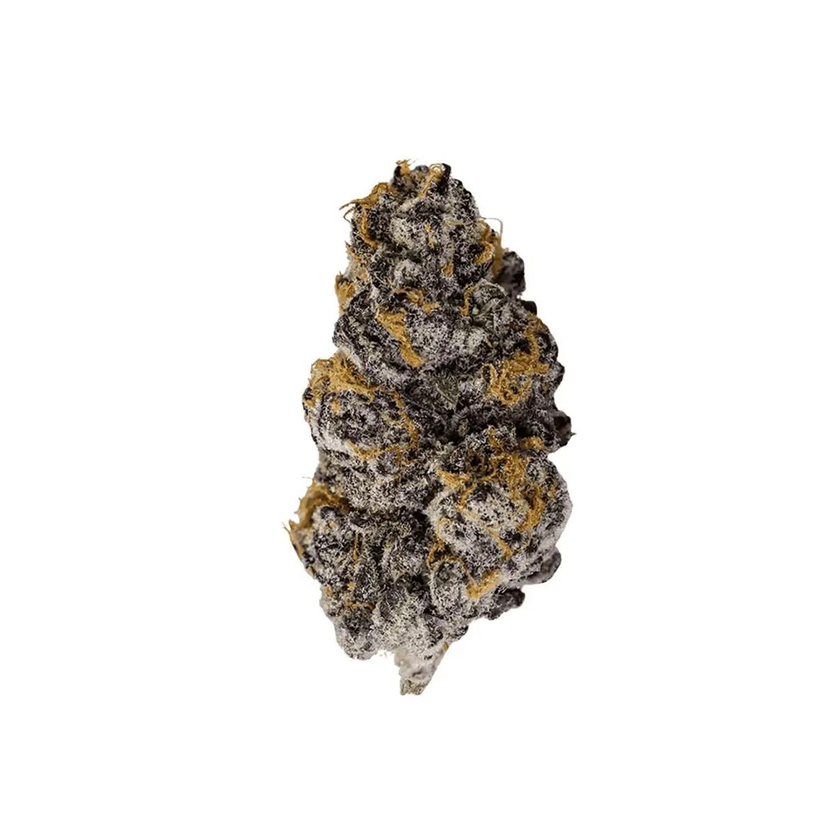 Cannamedical Indica Light BC Purple Punch