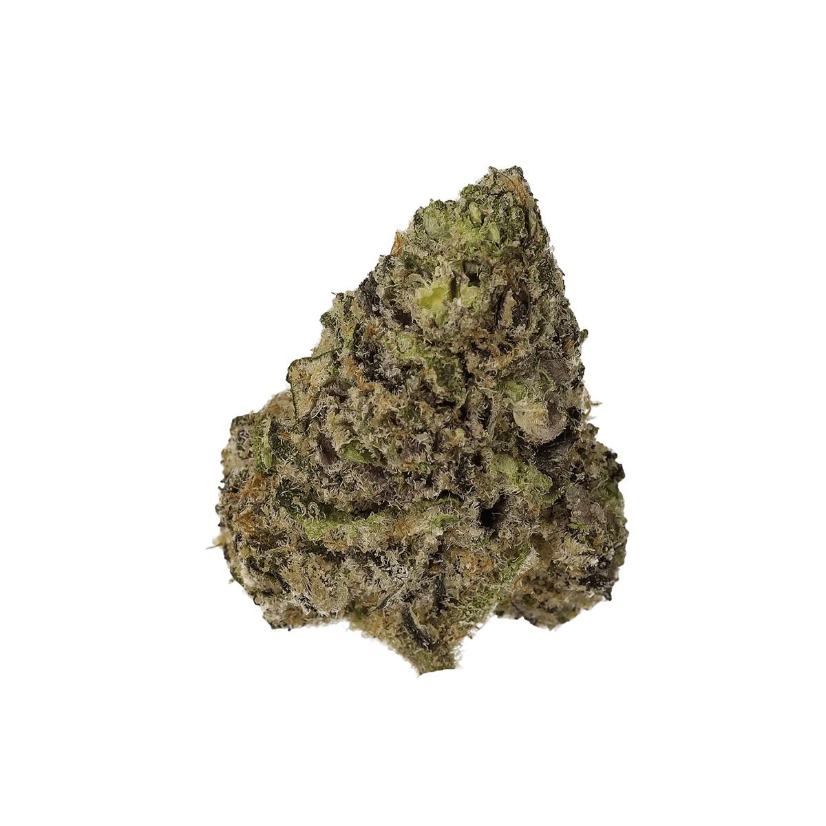 Cannamedical Sativa forte NM Wedding Tree