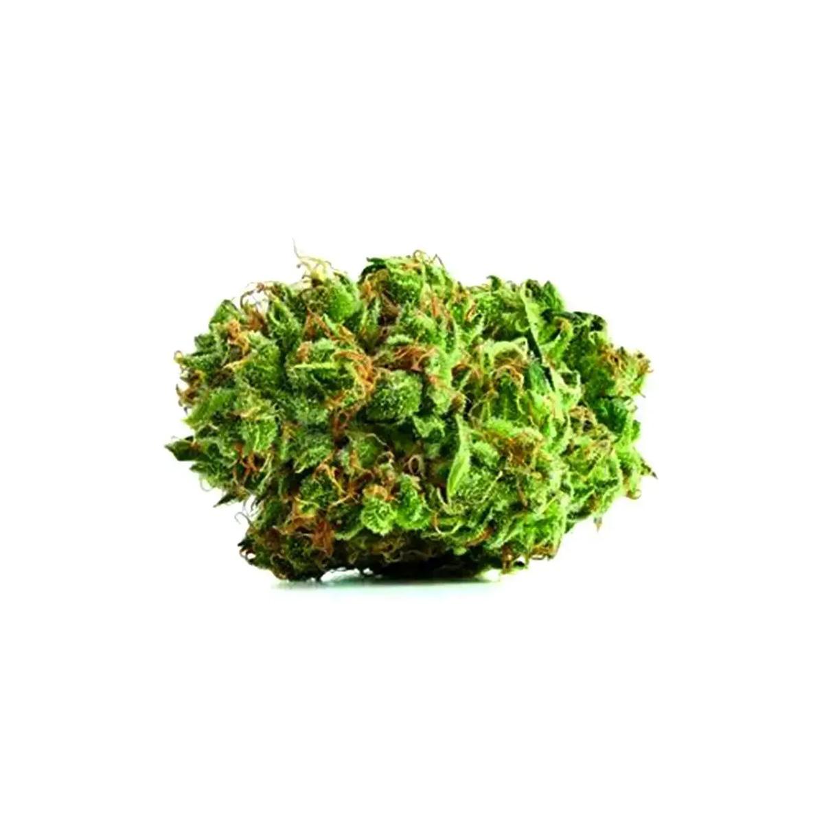 Canopy Bakerstreet 22/1