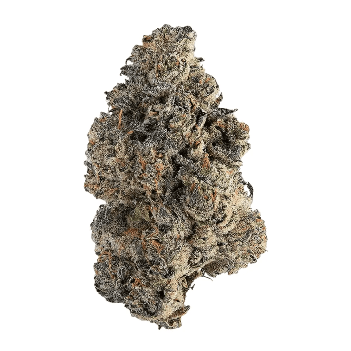 CzechOut 24/1 PUO Purple Octane