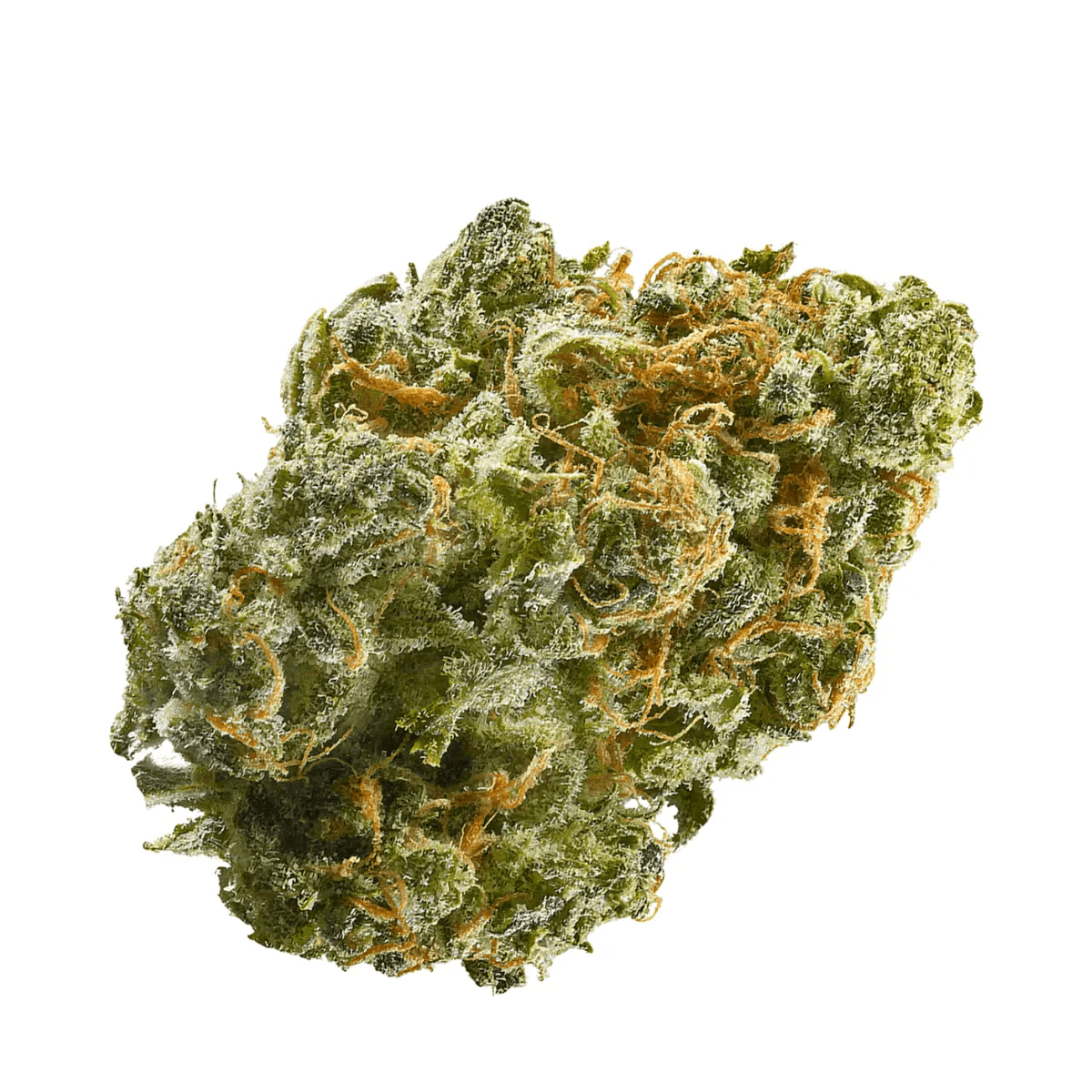 Daily Special 21/1 LEM Lemonatti