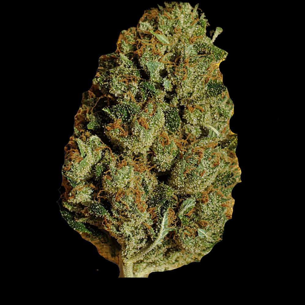 CV Strong Drop Dante´z Inferno 27/01