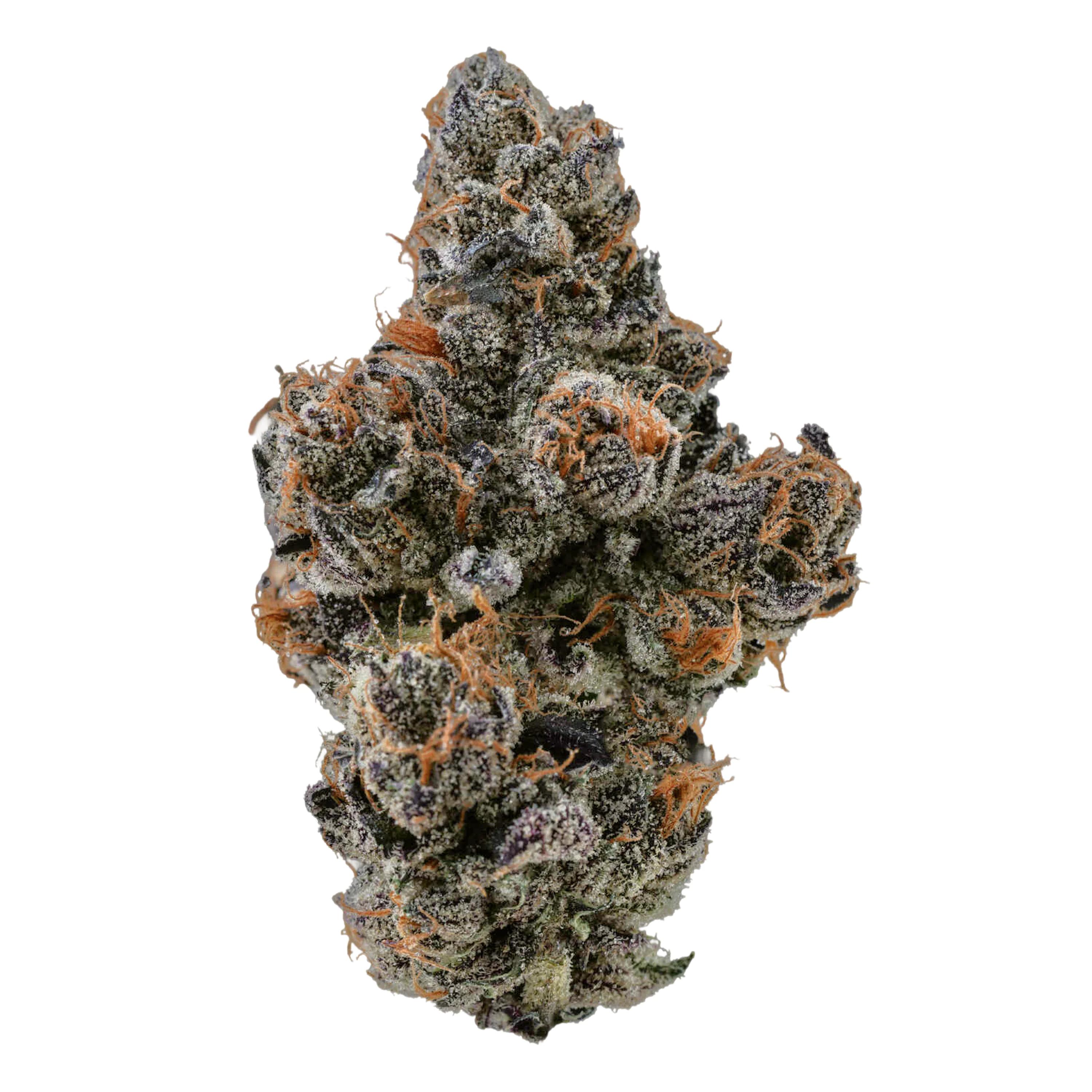 Enua 25/1 EJZ CA El Jefe Zoap