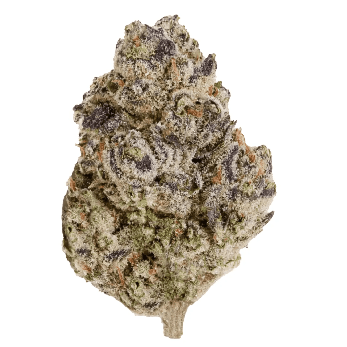 enua 25/1 PS3 CA BCP Black Cherry Punch