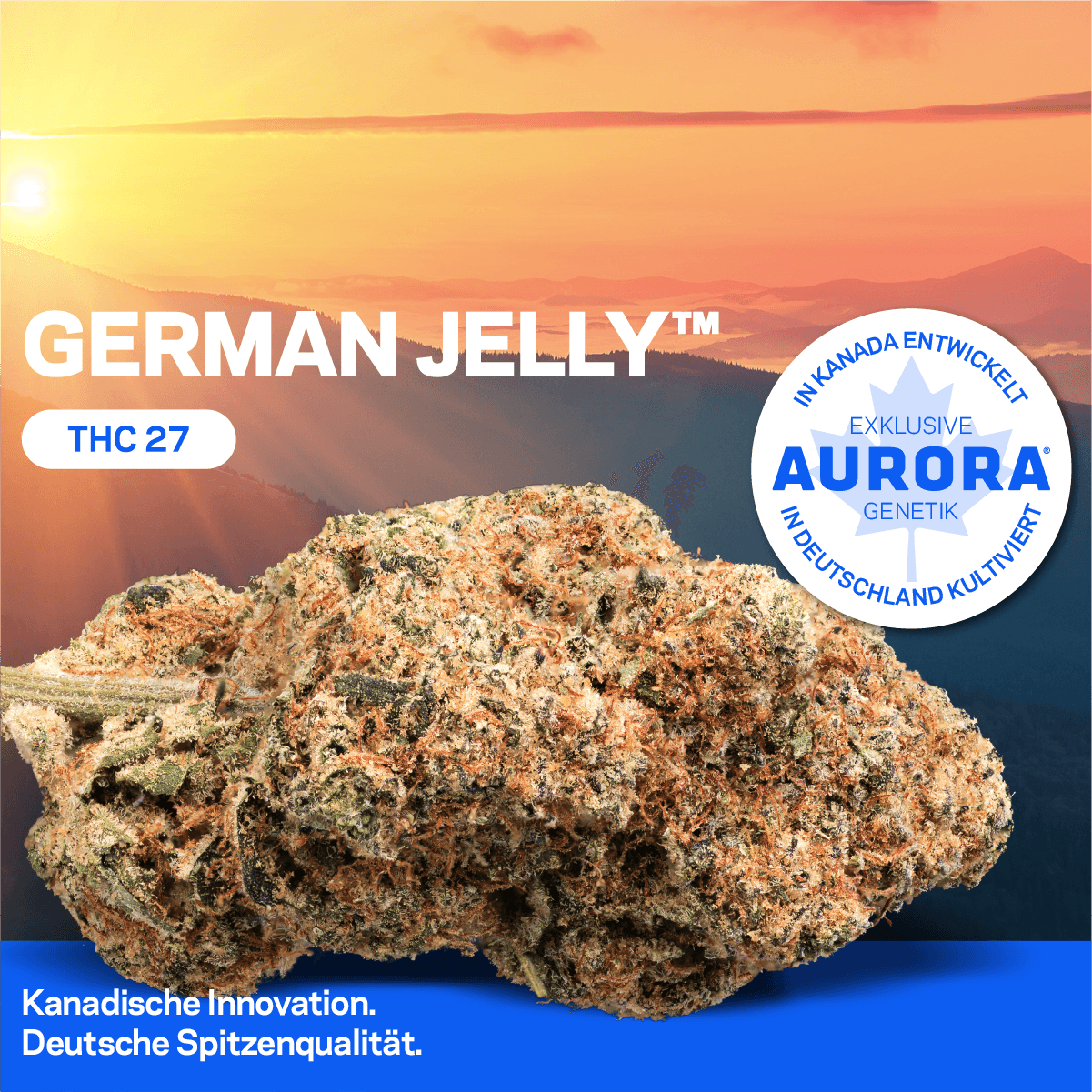 Aurora 27/1 GLY-DE German Jelly