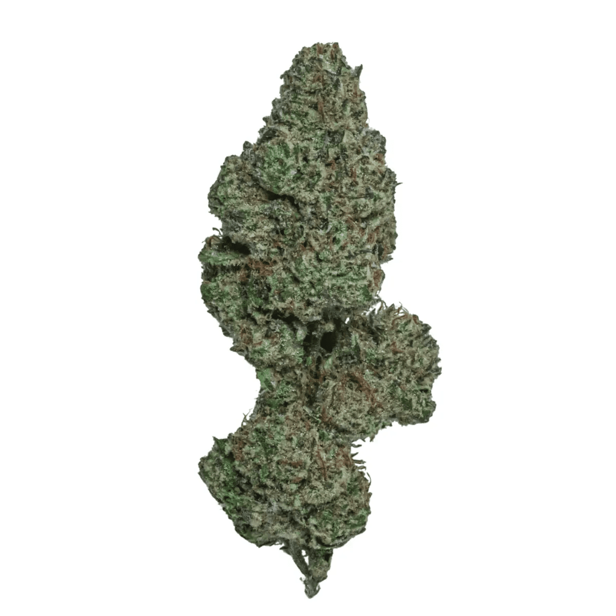 Herbasana Salsa Lover 20:01 Cosmic Soda