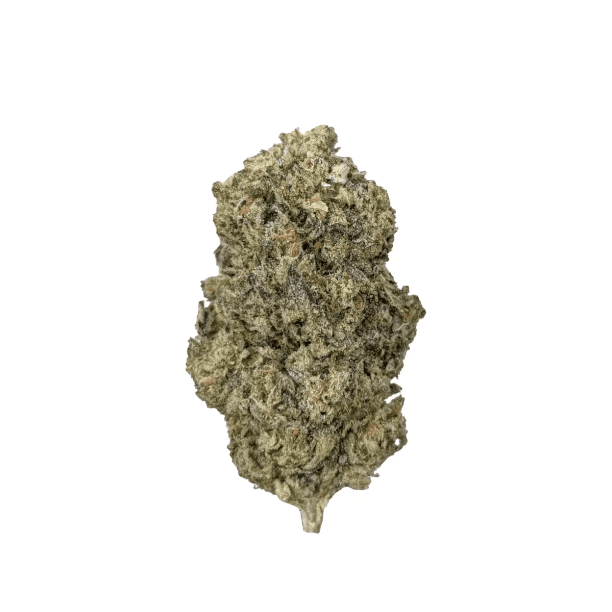 Huala 20/1 CA HOM Holy Mints