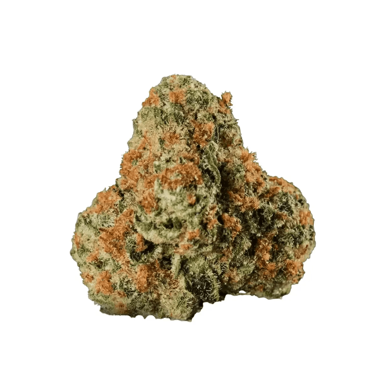 Huala 22/1 UK WTR Waffle Truffle