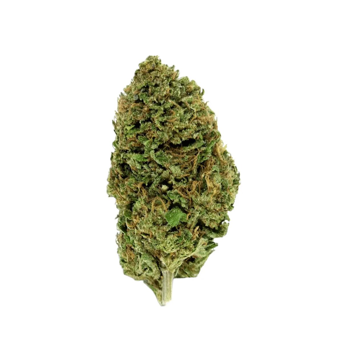 IMC THC25 E6 Royal OG