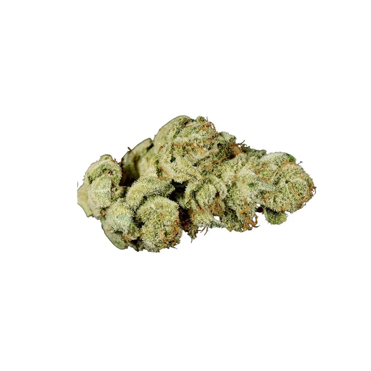 IMC THC30 T03 GG4 Gorilla Glue