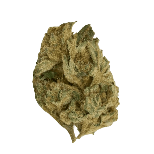 HiSociety 27/1 Deep Breath