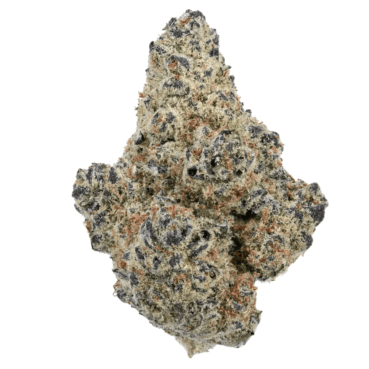 Medical Saints 15/1 BTU Black Tuna