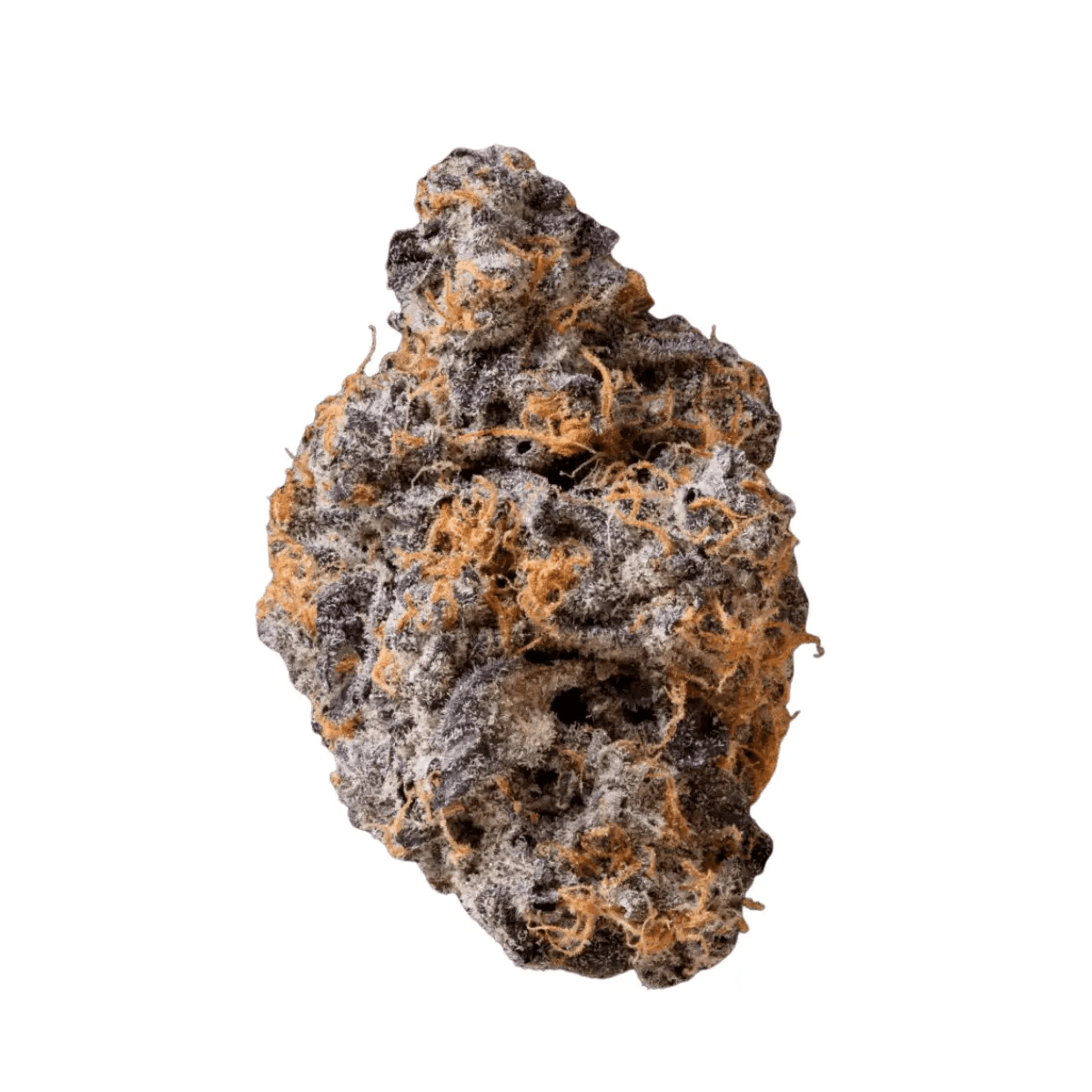 Medical Saints 15/1 GPA Gary Payton