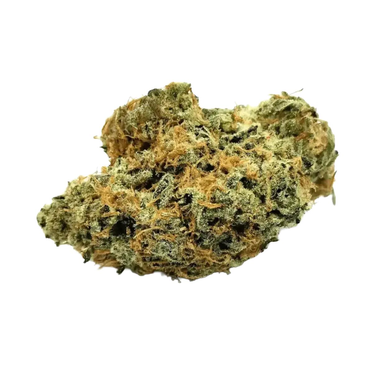 Nimbus easy 22/1 La Sage