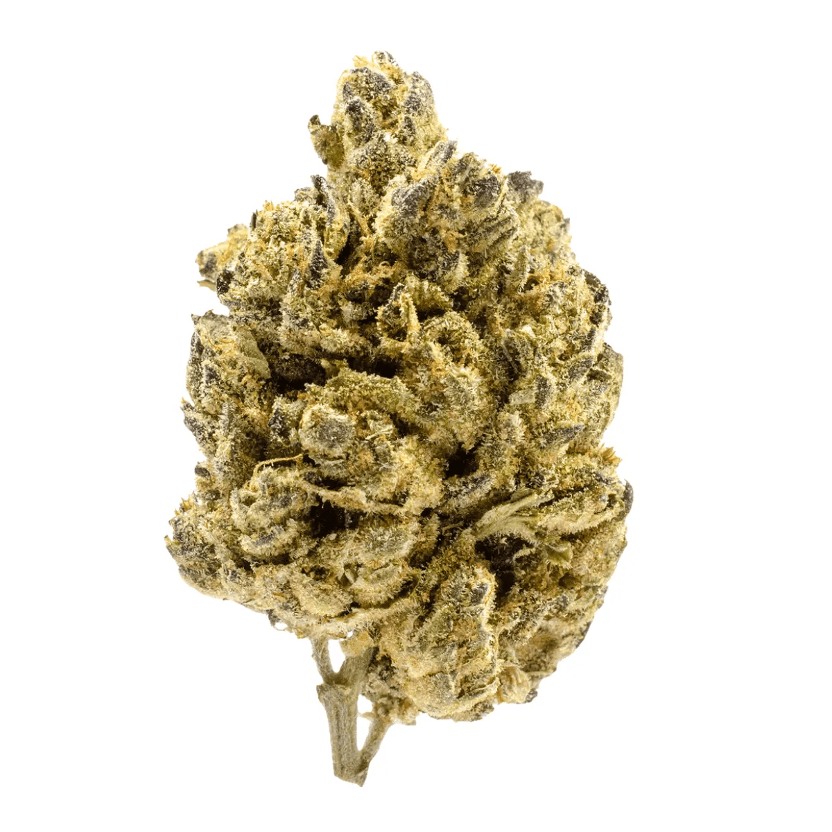 Petit Vert 18/1 FRE BMO