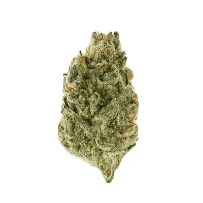 Slouu 27/1 EG CA Pineapple God