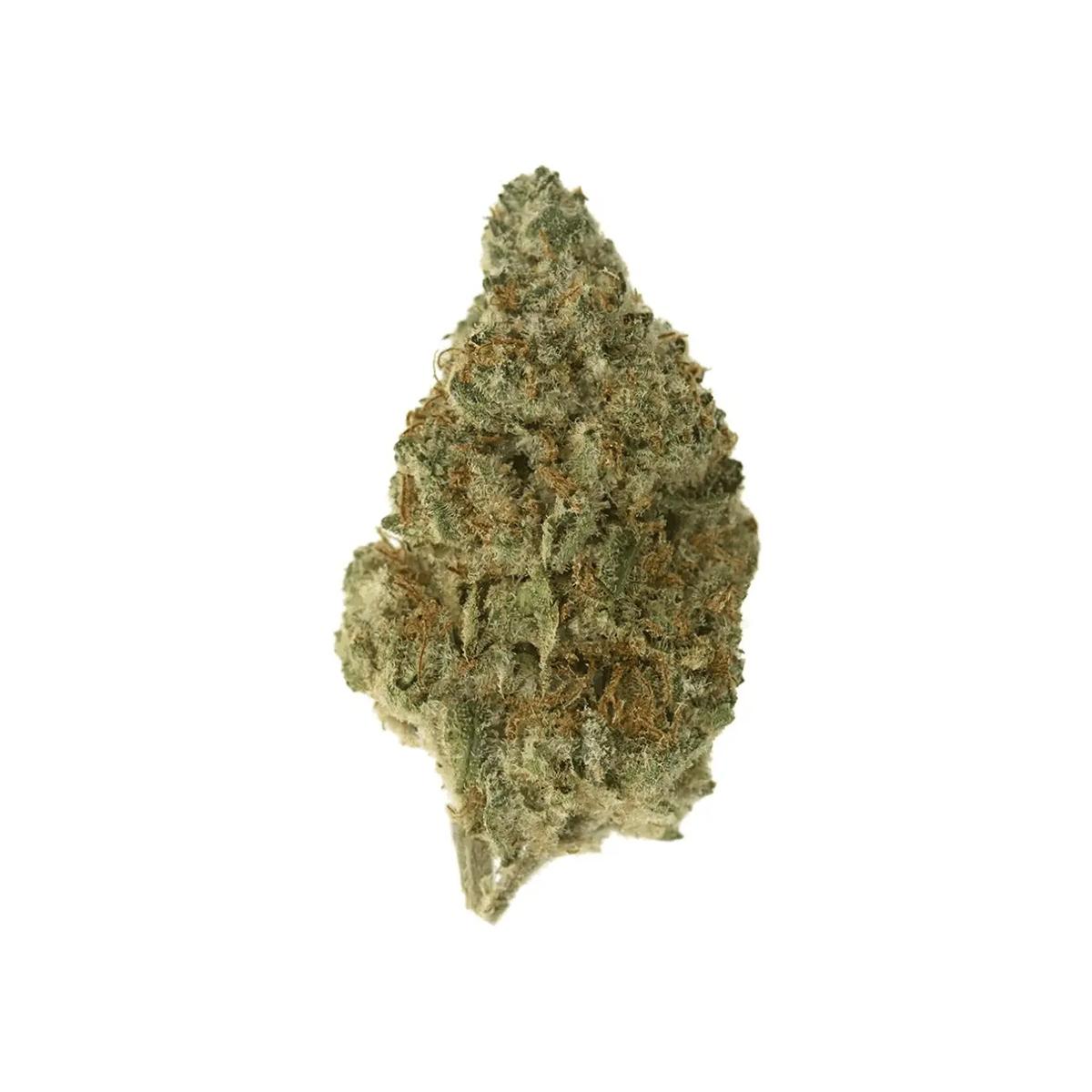 Remexian 27/1 FCO Frosted Cookies