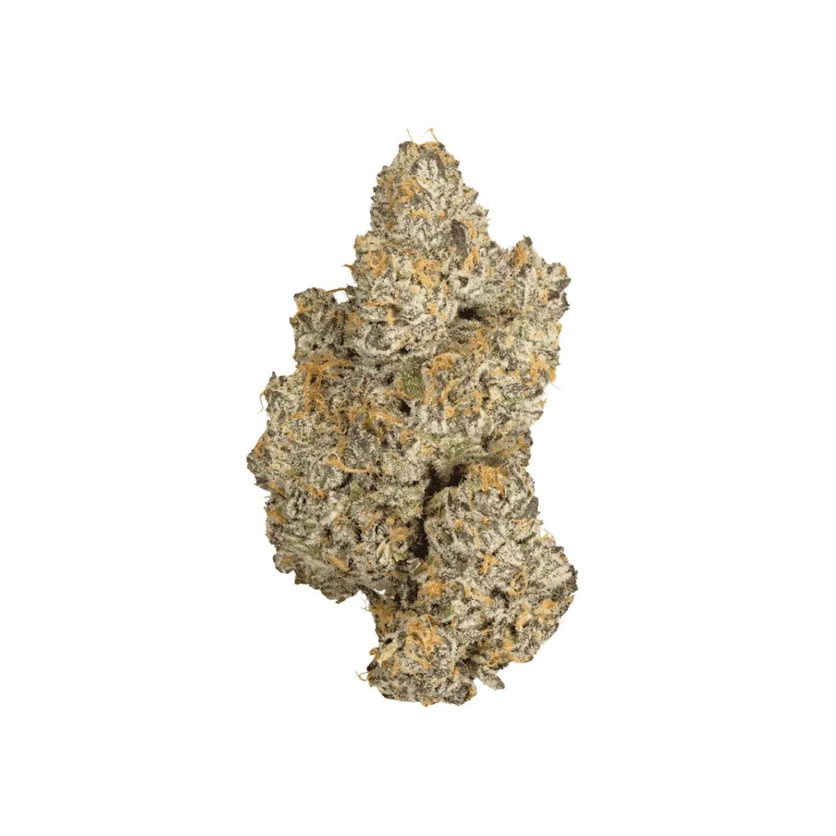 Remexian 27/1 PGF GOZ GMO x OZ Kush