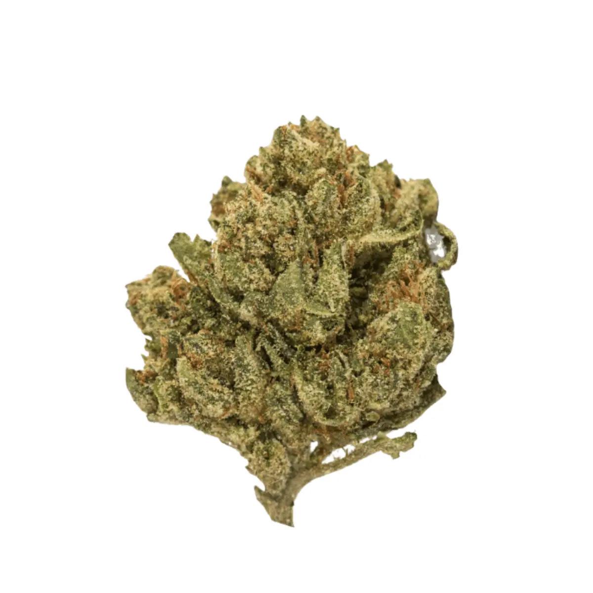 Remexian WTF 21/1 MIC TAP