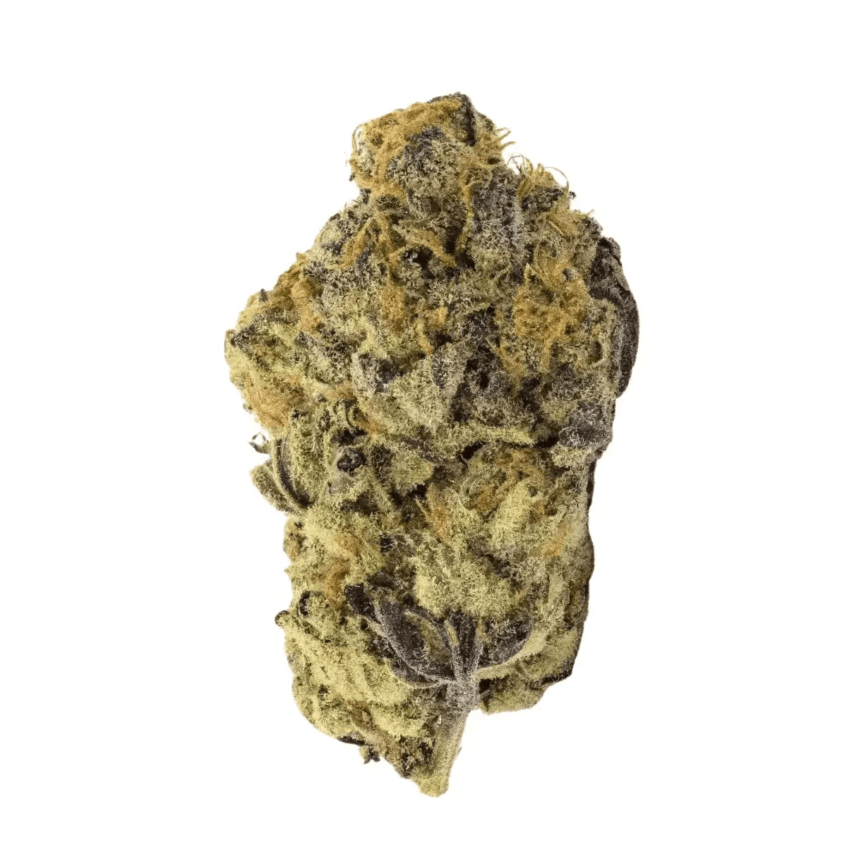 SOMA OG 30/1 BCP Black Cherry Punch