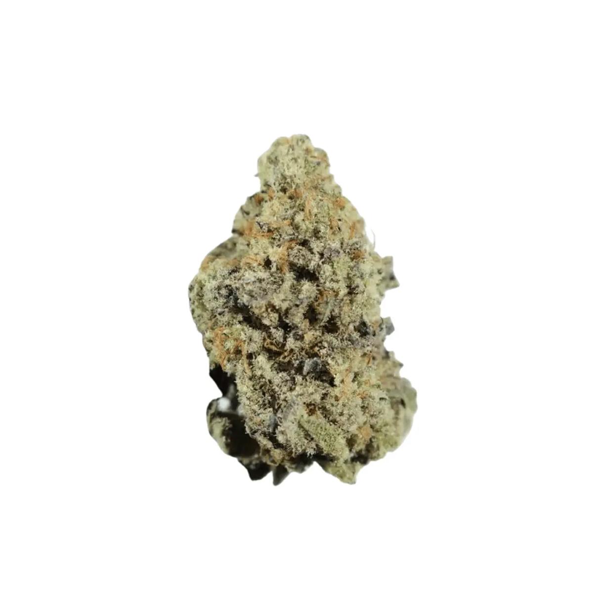 Sibanax Hybrid MCF 28/1 Mac Fem