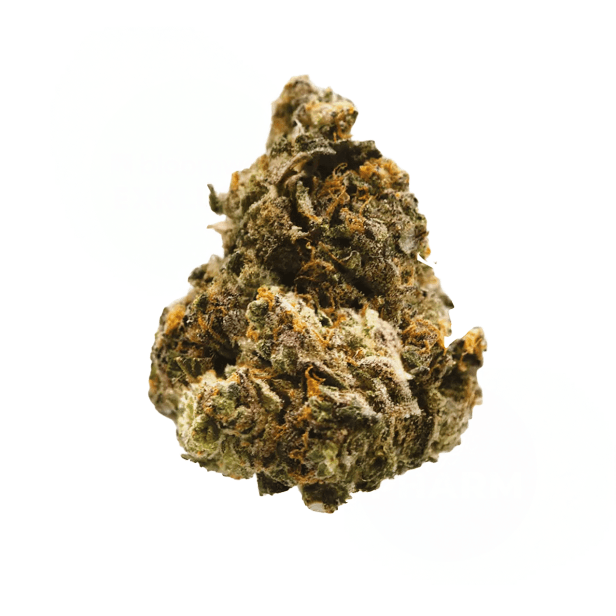 Siggis PMNZ 28:01 Siggis Pfefferminze