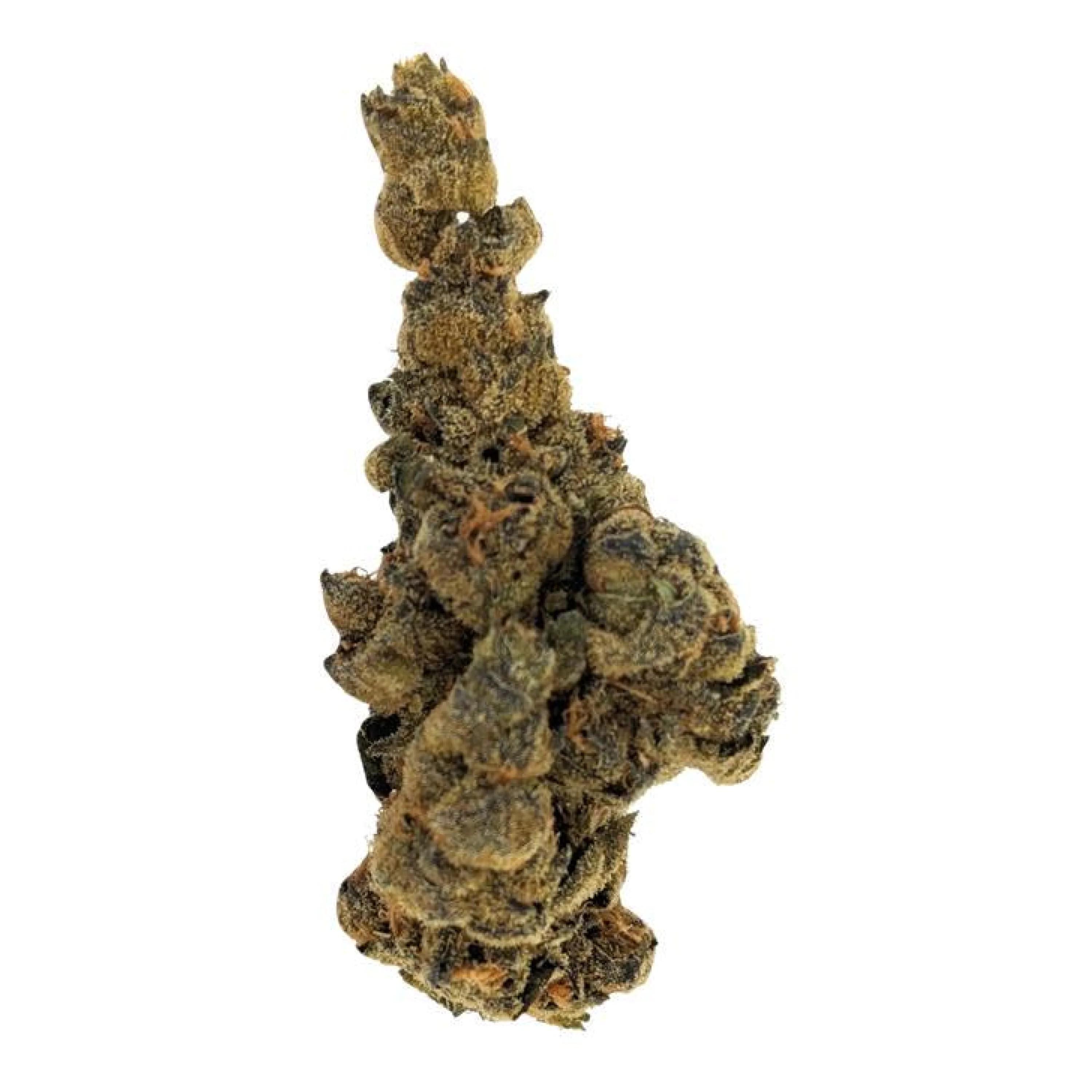 Cannabis Flos 25/1 ES Ku. The Chef