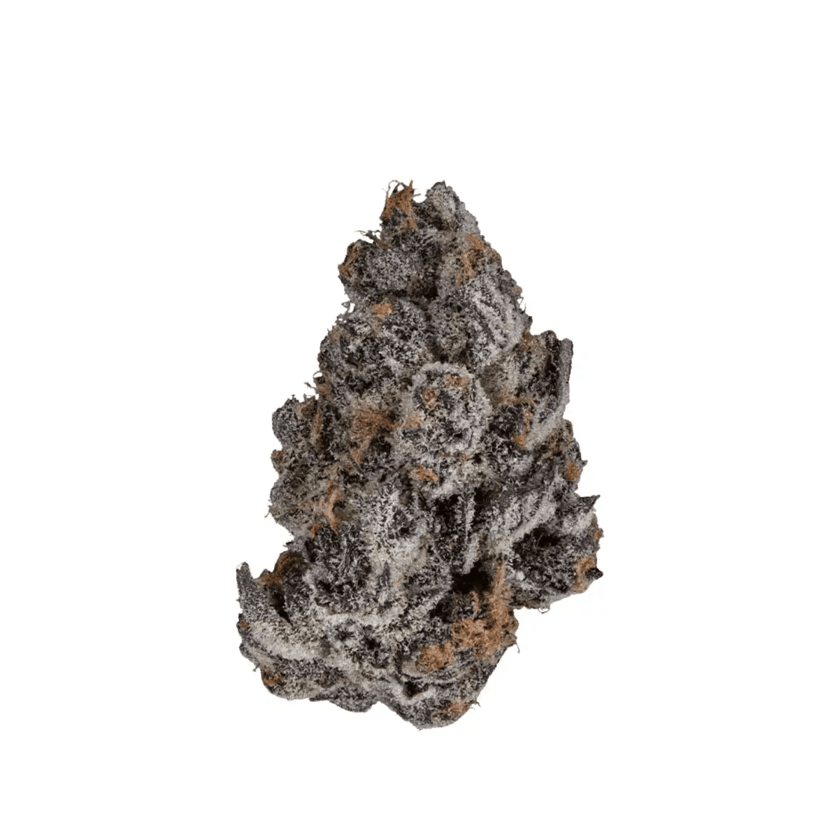 UPSTATE 26 FB Frosted Boof
