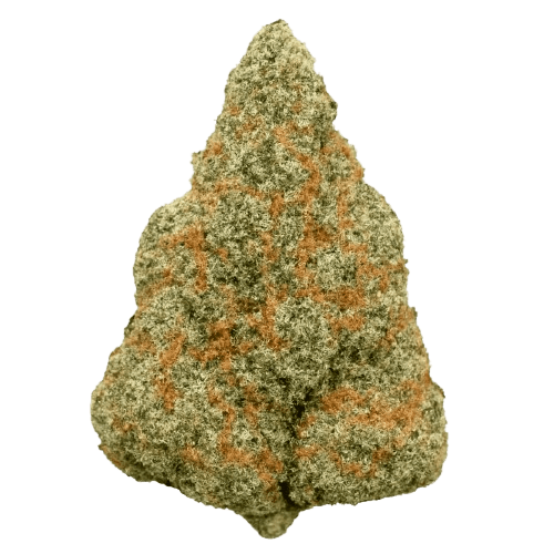 Origine Nature MED 26/1 Medellin