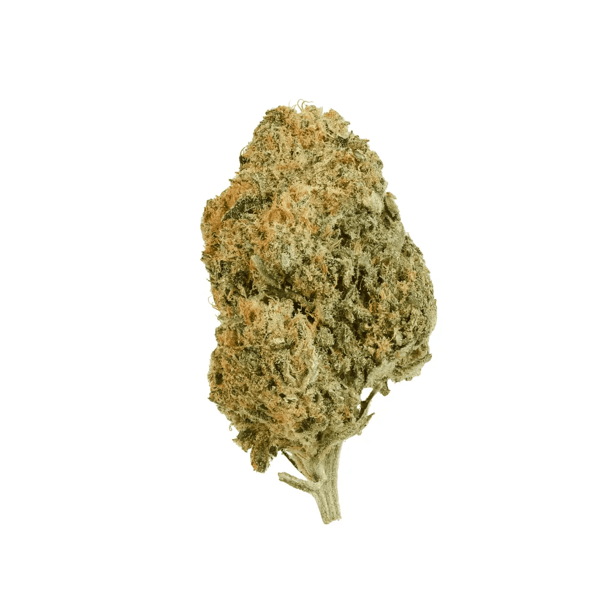 Vayamed Balanced 12/8 CAN Cannatonic