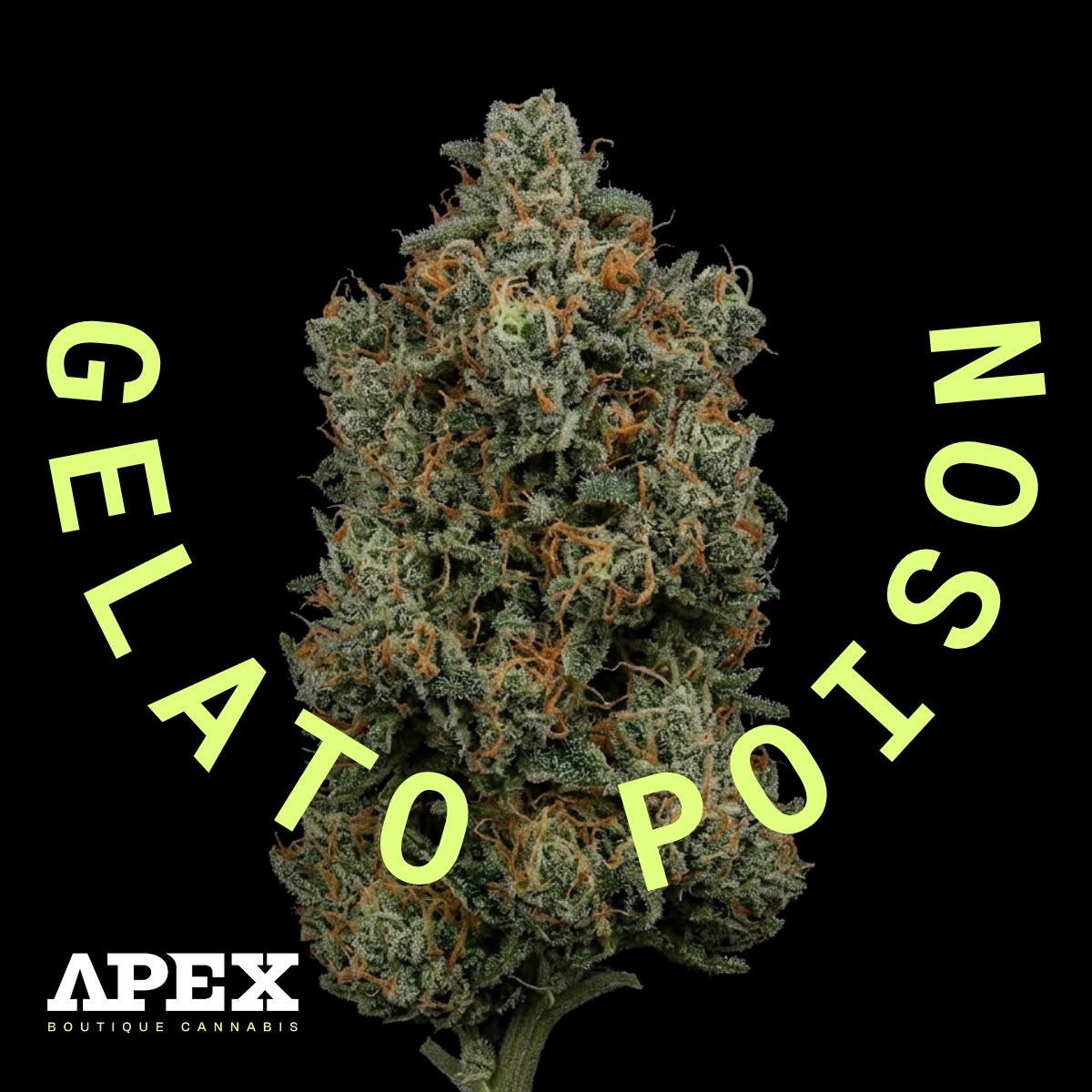 Apex GEP-PT 29/1 Gelato Poison