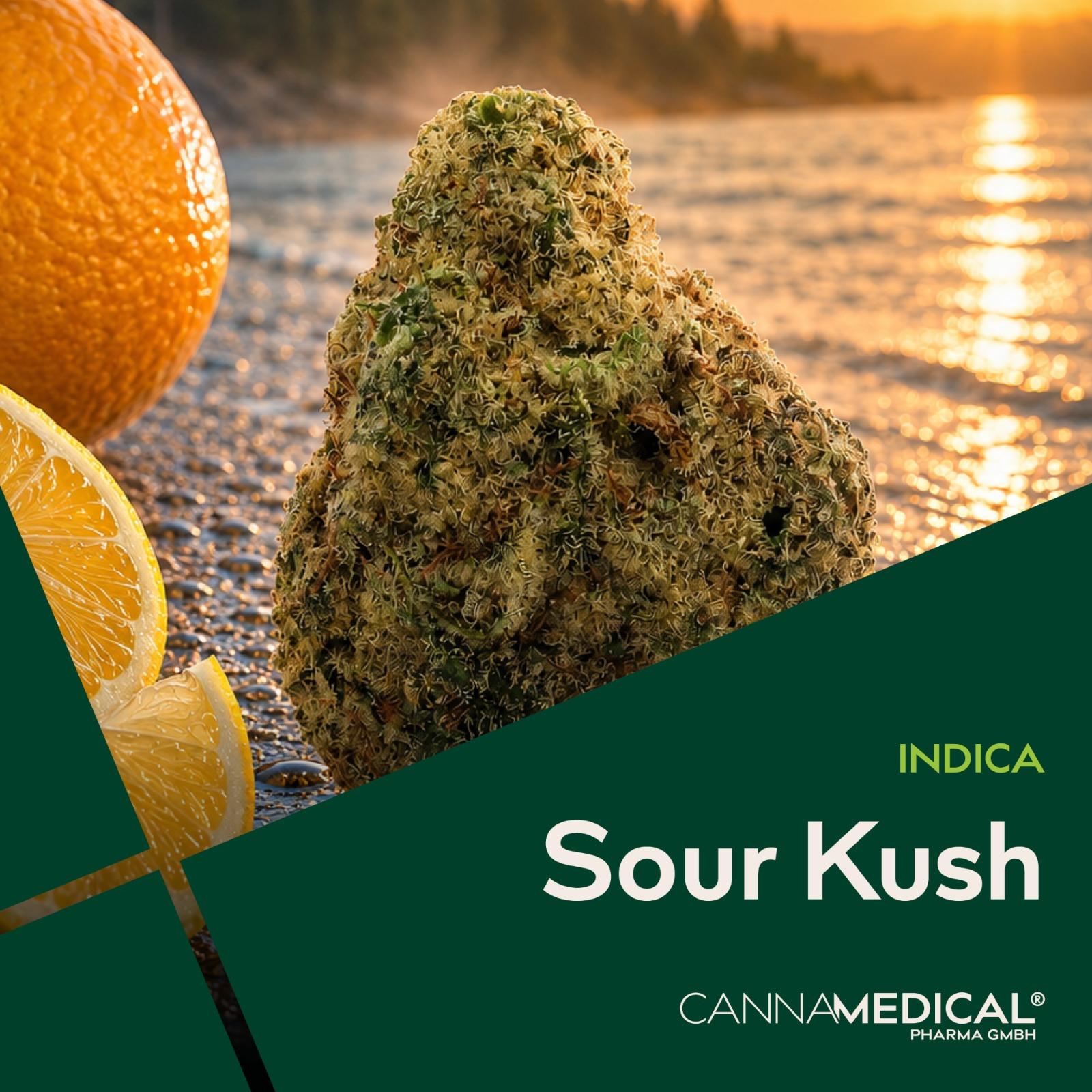 Cannamedical CM 32/1 SRK Sour Kush