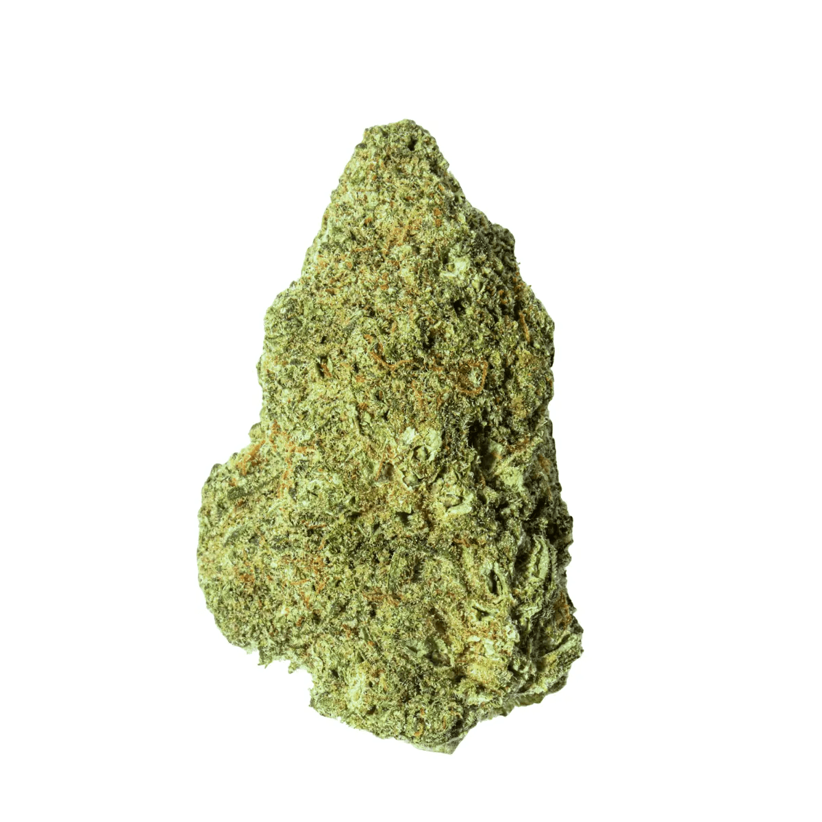 Wildlife 28 SCK CAN Sun County Kush