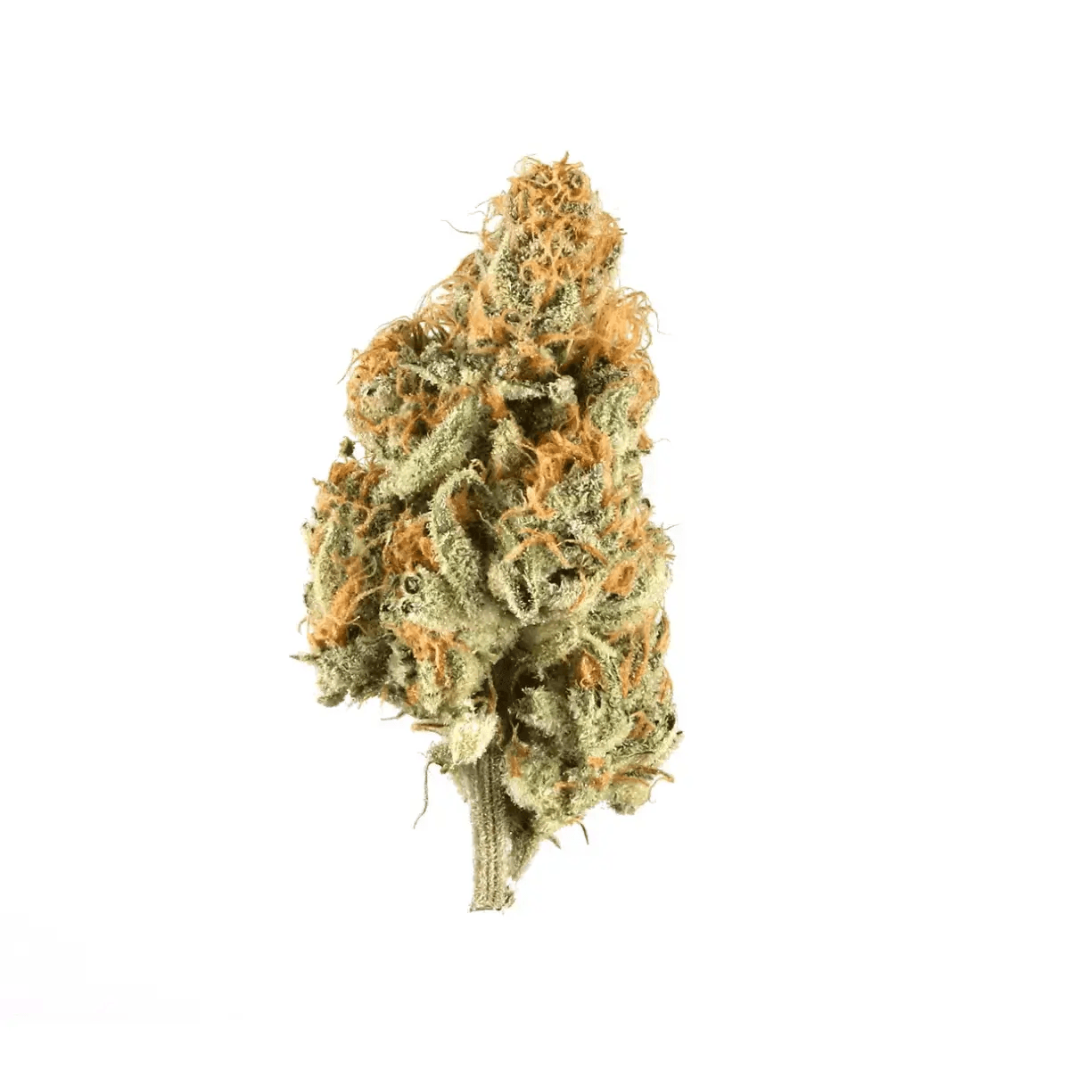 ZOIKS 22/1 LK OG Lime Kush