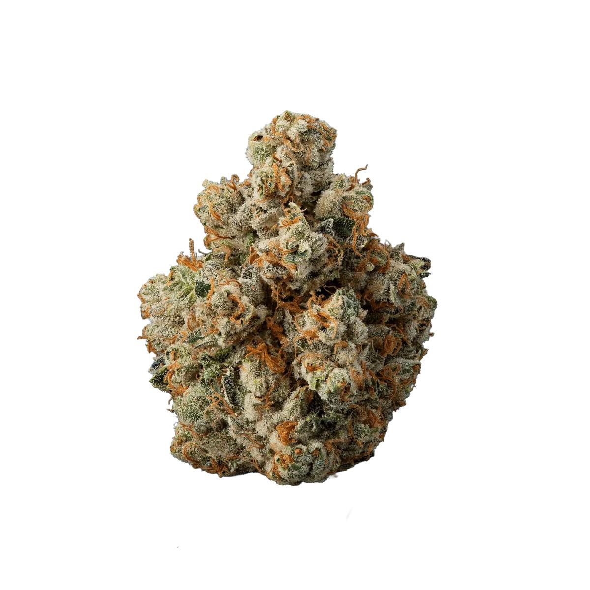 avaay Khalifa 28/1 KK Khalifa Kush