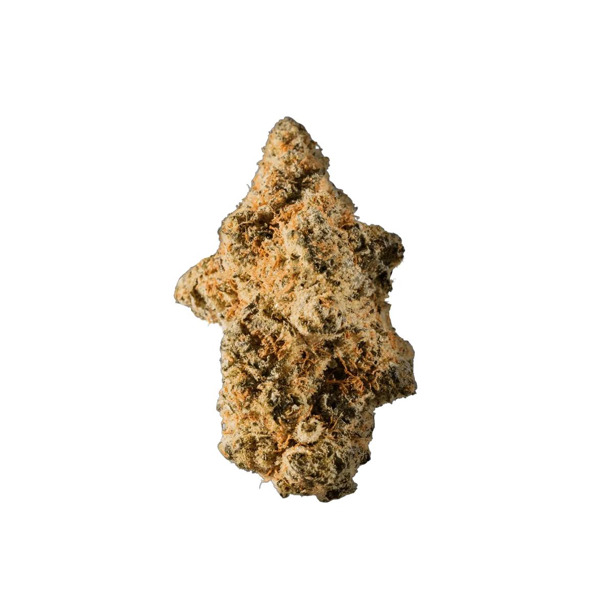 avaay Signature 23/1 WB Waffle Bites