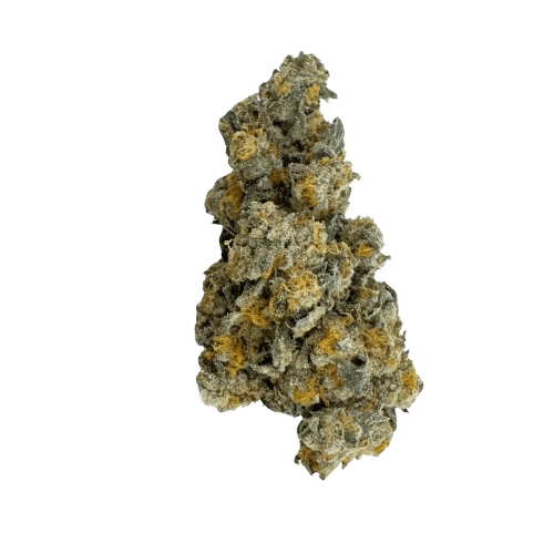 Cannovum Natura PMK 26/1 Permanent Marker