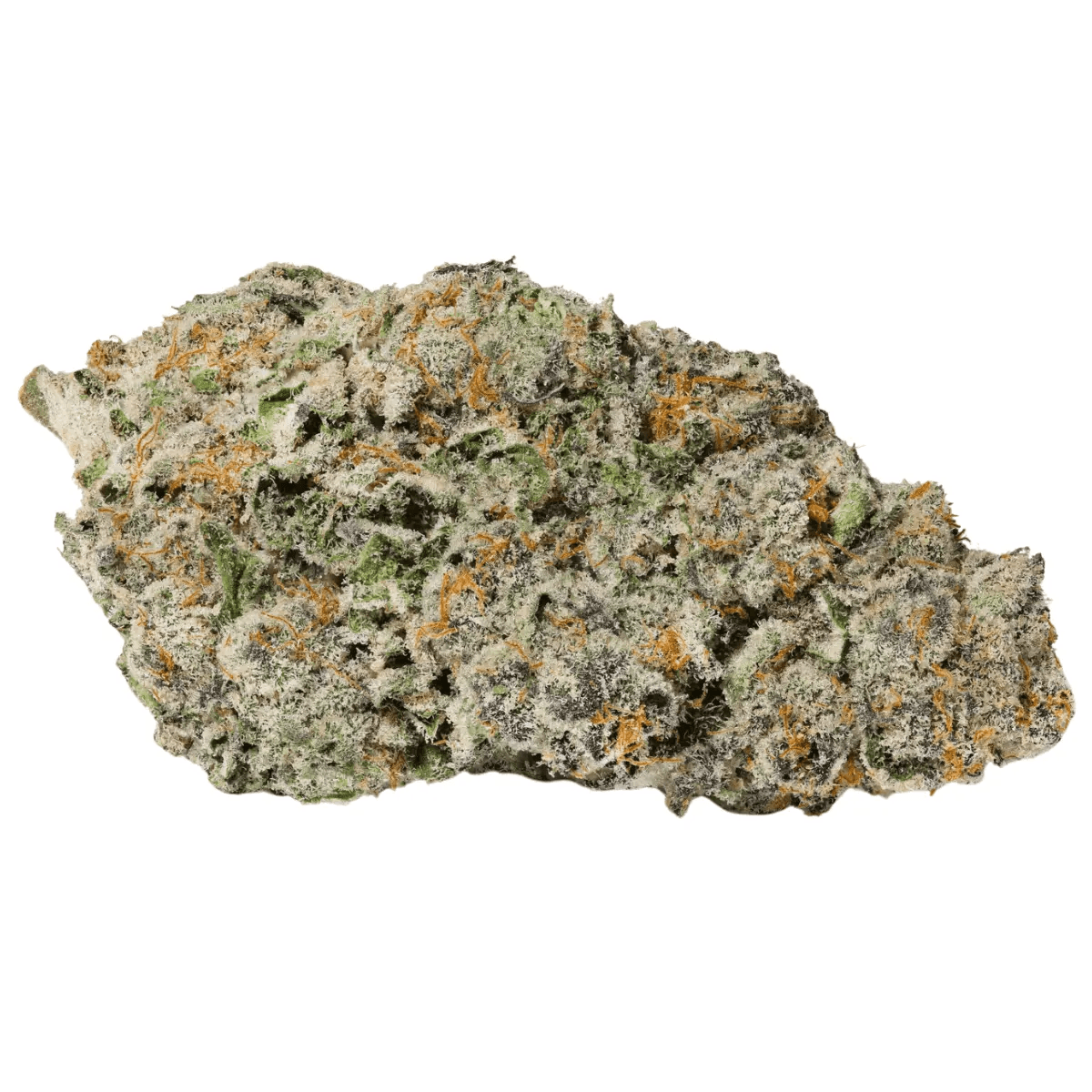 Sinceritas Sativa Verum 24/1 TC Tropical Cake