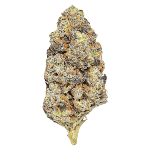 Barongo 26/1 JEA Banana Candy